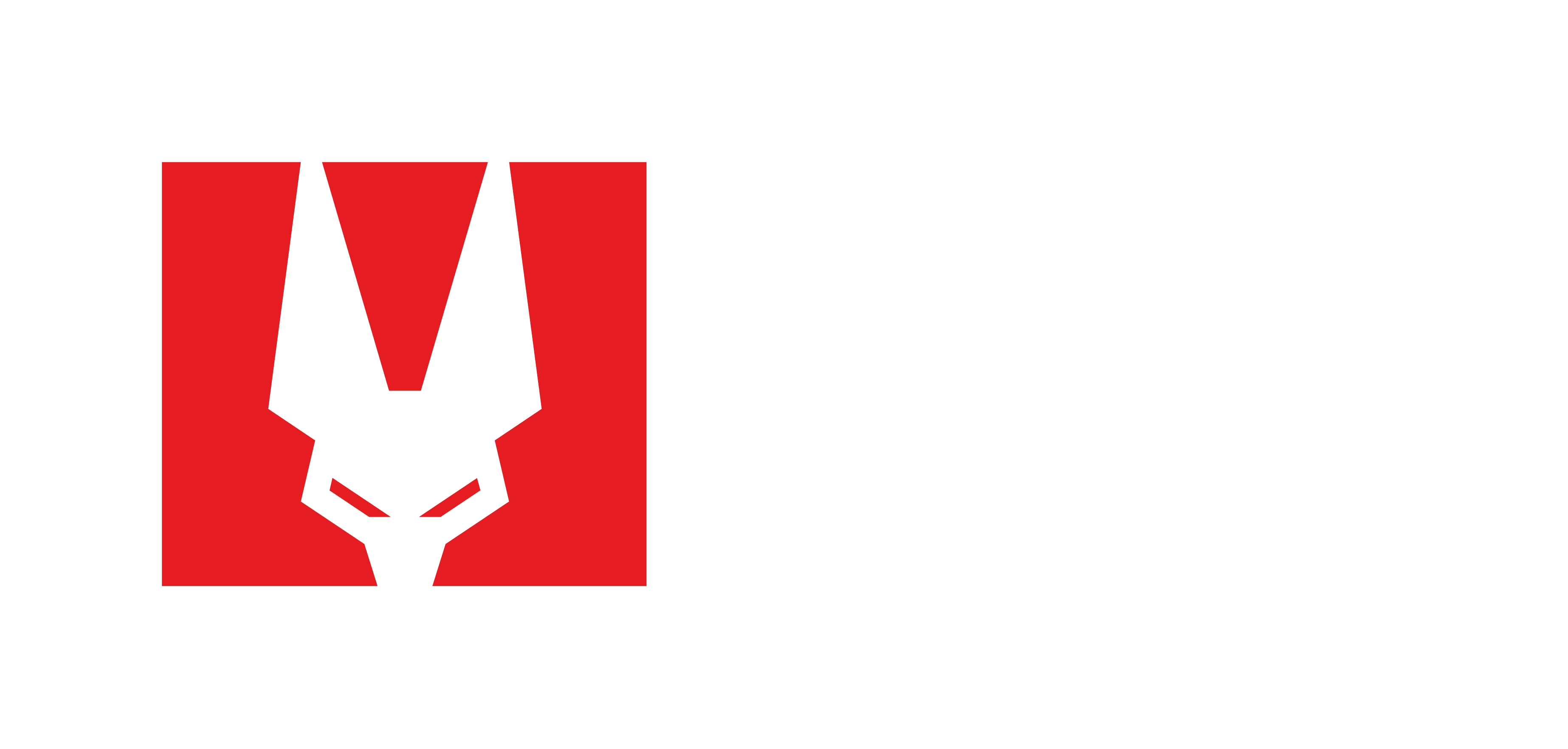 Logo Hakai Security